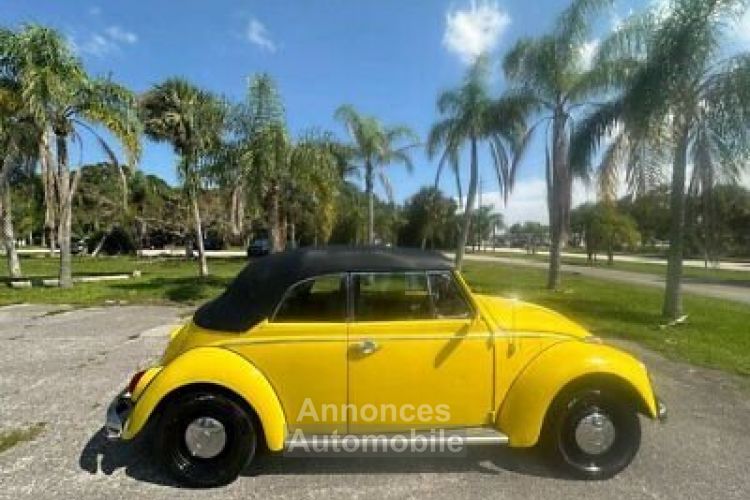 Volkswagen Beetle - Classic  - <small></small> 24.000 € <small>TTC</small> - #5