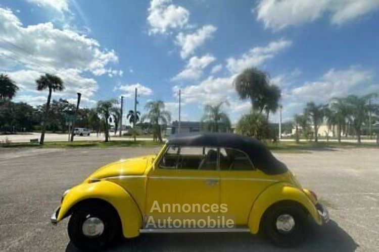 Volkswagen Beetle - Classic  - <small></small> 24.000 € <small>TTC</small> - #10