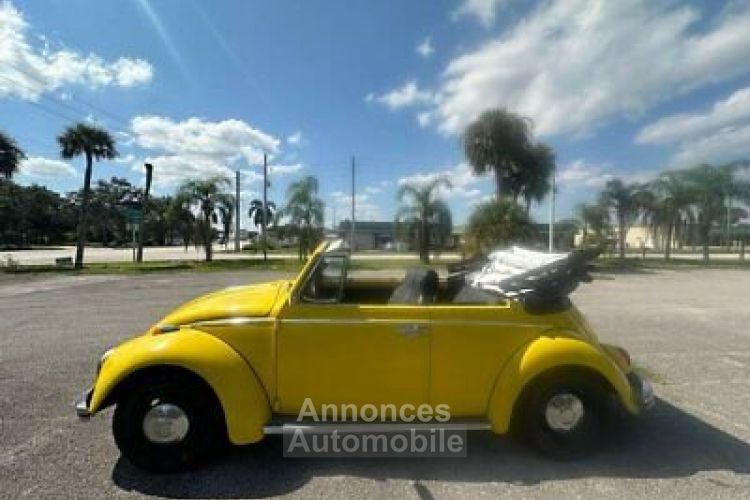 Volkswagen Beetle - Classic  - <small></small> 24.000 € <small>TTC</small> - #11