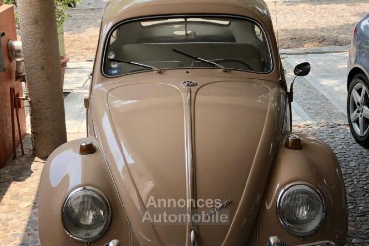 Volkswagen Beetle - Classic  - <small></small> 49.000 € <small>TTC</small> - #1