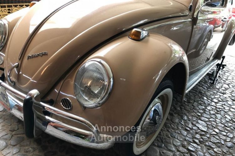 Volkswagen Beetle - Classic  - <small></small> 49.000 € <small>TTC</small> - #2