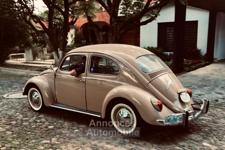 Volkswagen Beetle - Classic  - <small></small> 49.000 € <small>TTC</small> - #5