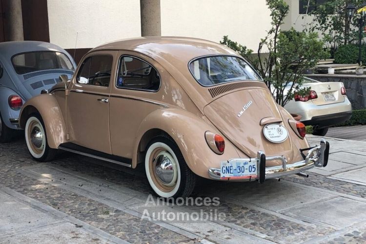 Volkswagen Beetle - Classic  - <small></small> 49.000 € <small>TTC</small> - #9