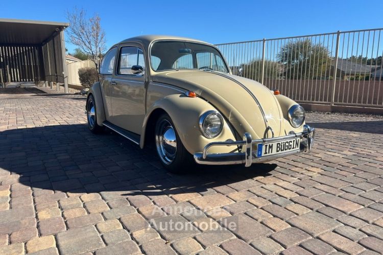 Volkswagen Beetle - Classic  - <small></small> 24.800 € <small>TTC</small> - #1