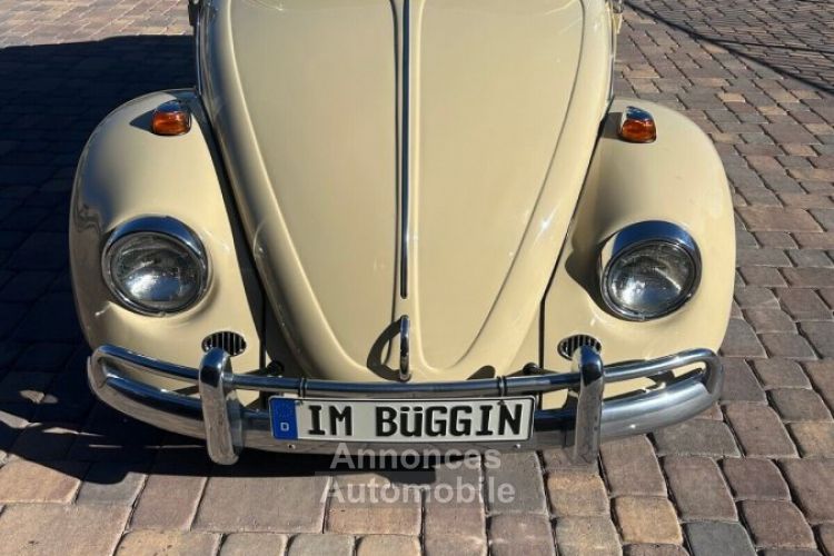 Volkswagen Beetle - Classic  - <small></small> 24.800 € <small>TTC</small> - #2