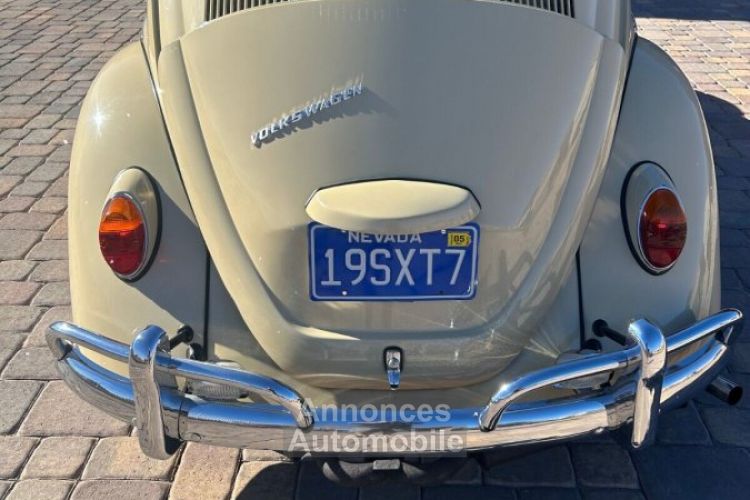 Volkswagen Beetle - Classic  - <small></small> 24.800 € <small>TTC</small> - #4