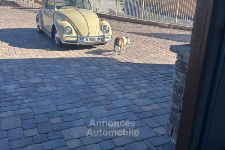 Volkswagen Beetle - Classic  - <small></small> 24.800 € <small>TTC</small> - #19