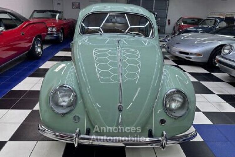 Volkswagen Beetle - Classic  - <small></small> 87.000 € <small>TTC</small> - #4