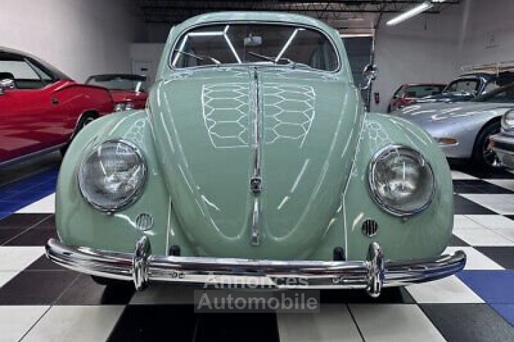 Volkswagen Beetle - Classic  - <small></small> 87.000 € <small>TTC</small> - #6