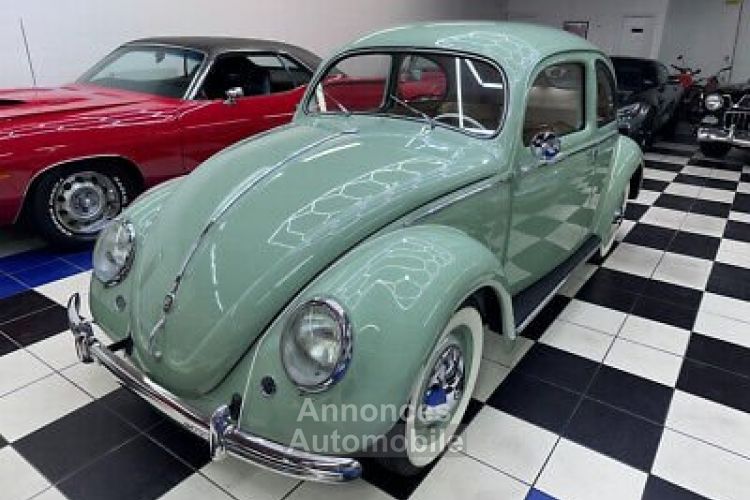 Volkswagen Beetle - Classic  - <small></small> 87.000 € <small>TTC</small> - #14