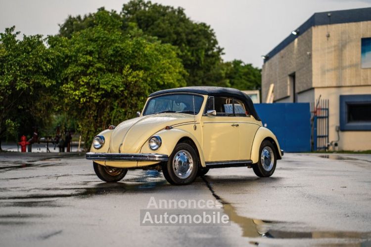 Volkswagen Beetle - Classic  - <small></small> 25.700 € <small>TTC</small> - #1