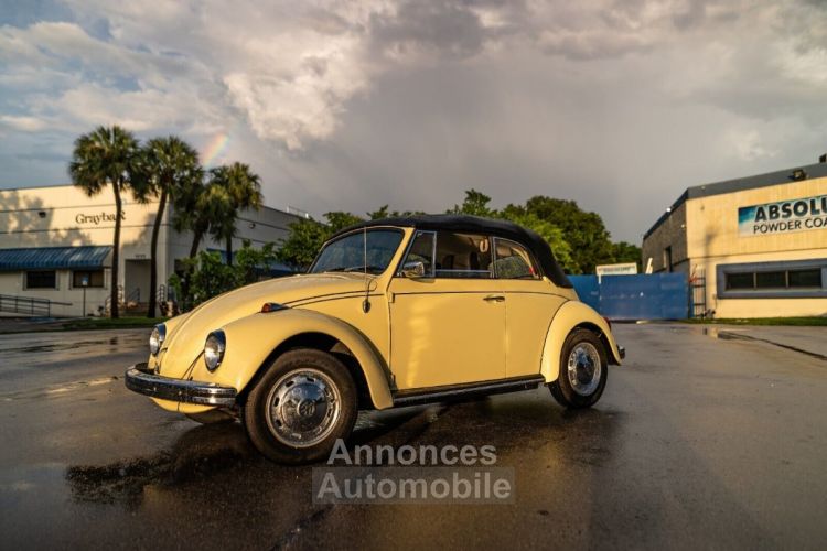 Volkswagen Beetle - Classic  - <small></small> 25.700 € <small>TTC</small> - #3