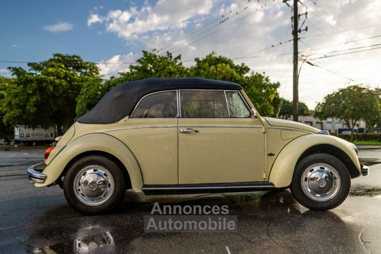 Volkswagen Beetle - Classic  - <small></small> 25.700 € <small>TTC</small> - #6