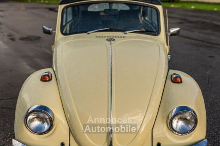 Volkswagen Beetle - Classic  - <small></small> 25.700 € <small>TTC</small> - #10