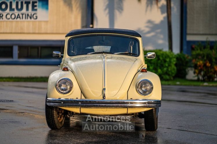 Volkswagen Beetle - Classic  - <small></small> 25.700 € <small>TTC</small> - #11