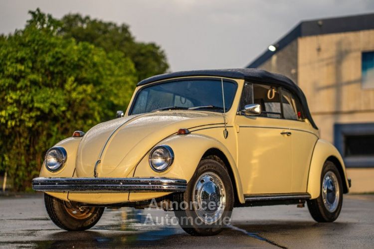 Volkswagen Beetle - Classic  - <small></small> 25.700 € <small>TTC</small> - #12