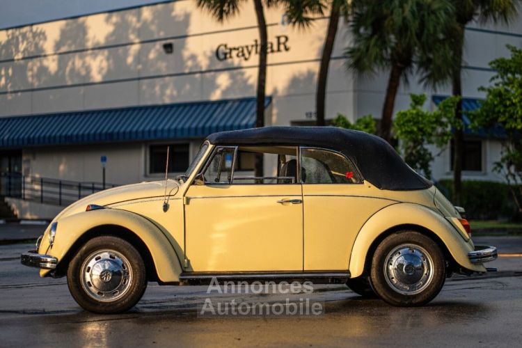 Volkswagen Beetle - Classic  - <small></small> 25.700 € <small>TTC</small> - #14