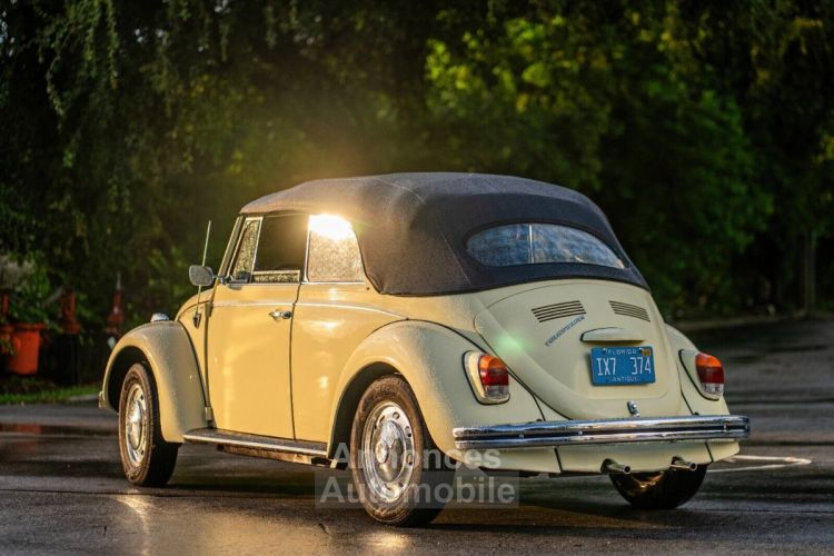 Volkswagen Beetle - Classic  - <small></small> 25.700 € <small>TTC</small> - #15