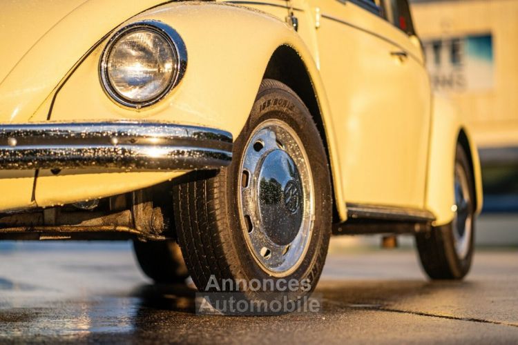 Volkswagen Beetle - Classic  - <small></small> 25.700 € <small>TTC</small> - #17