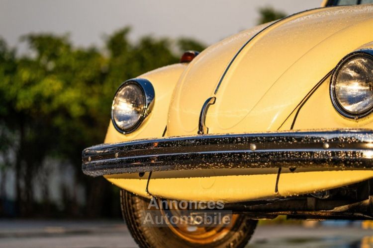 Volkswagen Beetle - Classic  - <small></small> 25.700 € <small>TTC</small> - #18