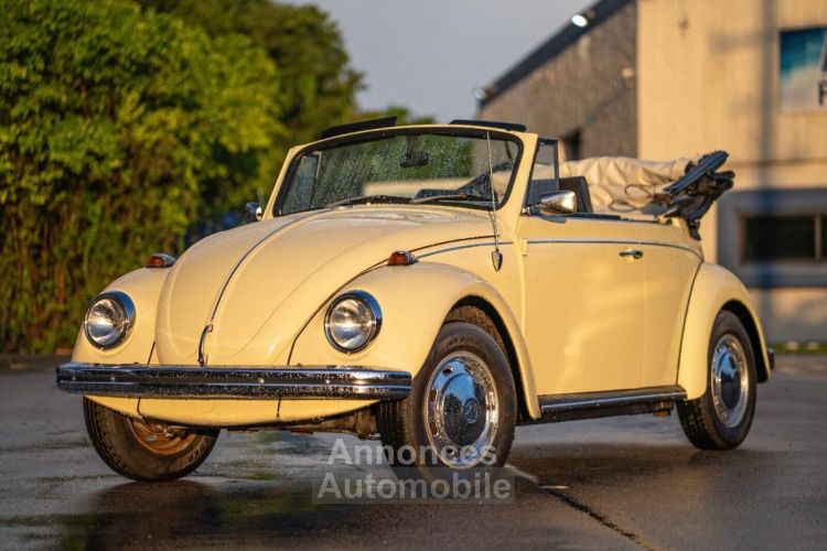 Volkswagen Beetle - Classic  - <small></small> 25.700 € <small>TTC</small> - #21