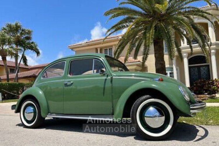 Volkswagen Beetle - Classic  - <small></small> 22.500 € <small>TTC</small> - #6