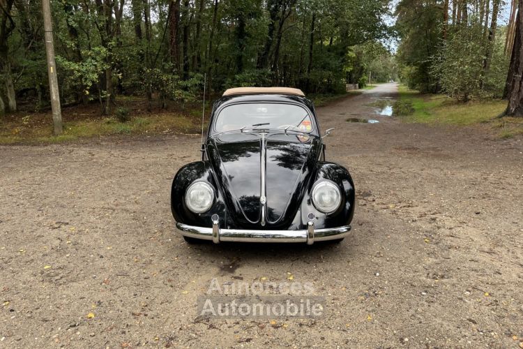 Volkswagen Beetle 1200 cc 36 BHP - <small></small> 28.500 € <small>TTC</small> - #4