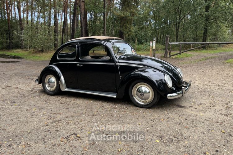 Volkswagen Beetle 1200 cc 36 BHP - <small></small> 28.500 € <small>TTC</small> - #6