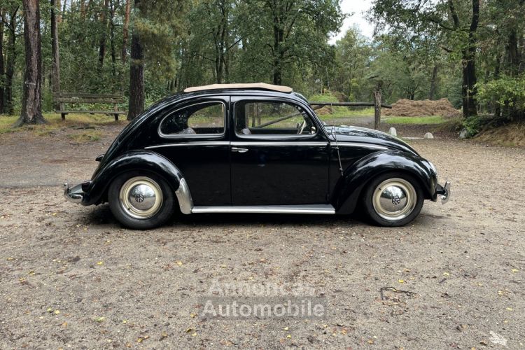 Volkswagen Beetle 1200 cc 36 BHP - <small></small> 28.500 € <small>TTC</small> - #7