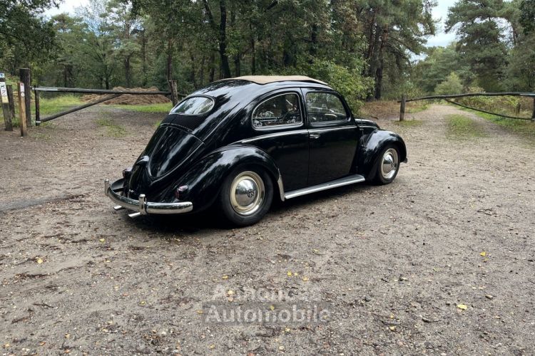 Volkswagen Beetle 1200 cc 36 BHP - <small></small> 28.500 € <small>TTC</small> - #8