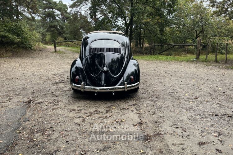 Volkswagen Beetle 1200 cc 36 BHP - <small></small> 28.500 € <small>TTC</small> - #9