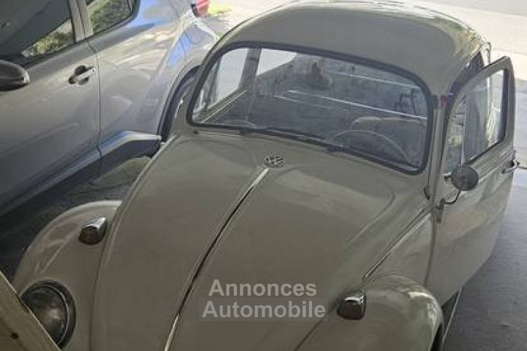 Volkswagen Beetle - <small></small> 24.000 € <small>TTC</small> - #1