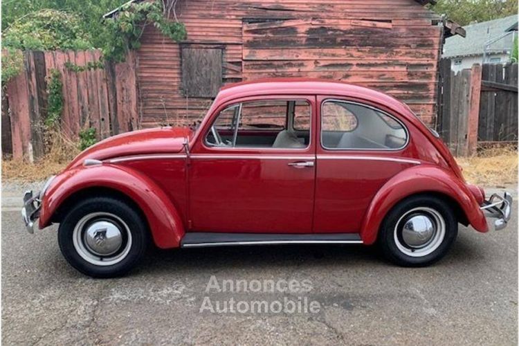 Volkswagen Beetle - <small></small> 26.000 € <small>TTC</small> - #2