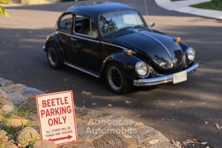 Volkswagen Beetle - <small></small> 20.000 € <small>TTC</small> - #19