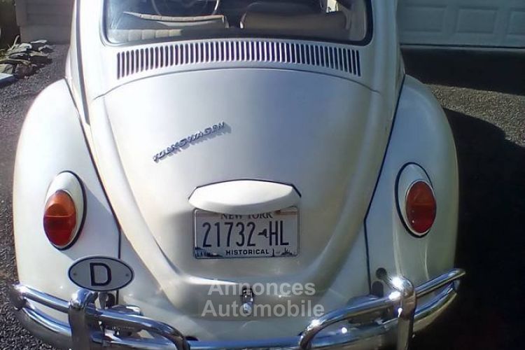 Volkswagen Beetle - <small></small> 24.000 € <small>TTC</small> - #13