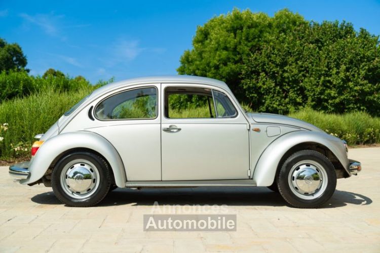 Volkswagen Beetle - Prix sur Demande - #3