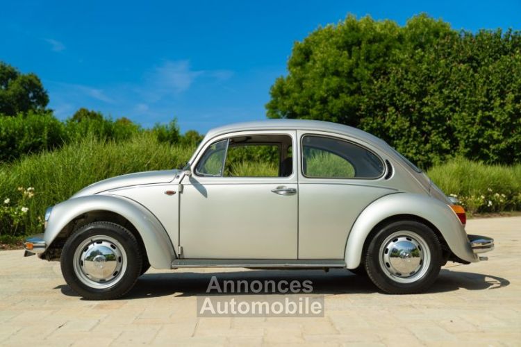 Volkswagen Beetle - Prix sur Demande - #2