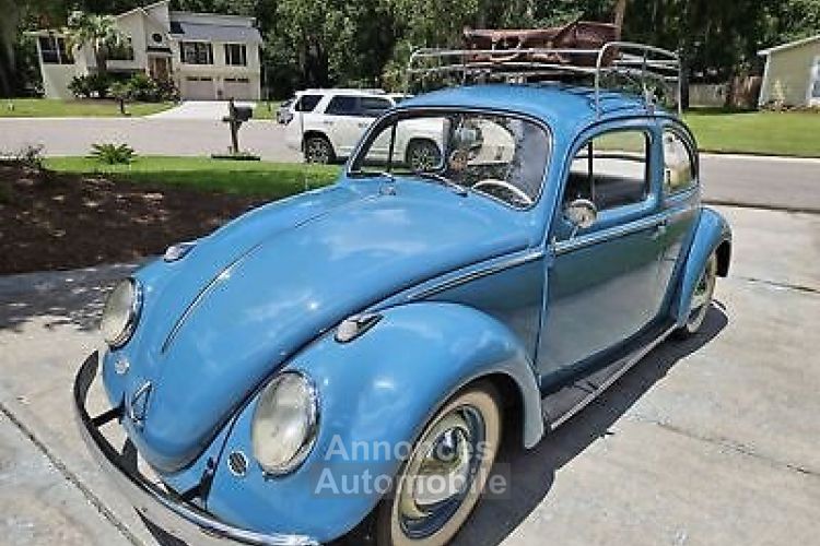 Volkswagen Beetle - <small></small> 31.000 € <small>TTC</small> - #2