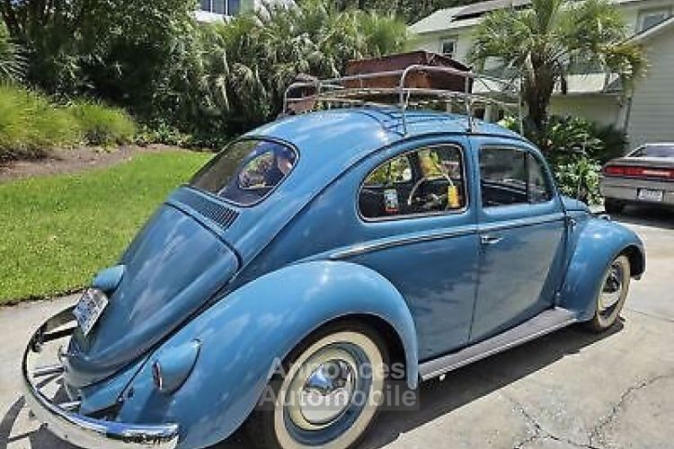 Volkswagen Beetle - <small></small> 31.000 € <small>TTC</small> - #6