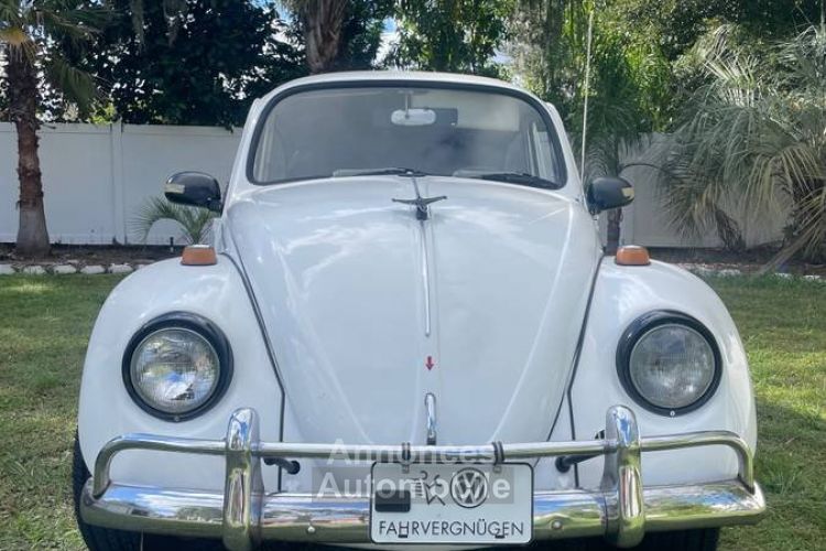 Volkswagen Beetle - <small></small> 20.000 € <small>TTC</small> - #2