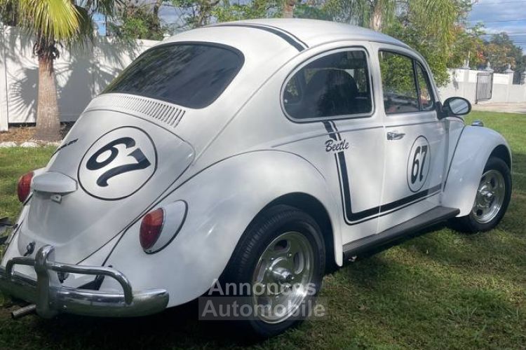 Volkswagen Beetle - <small></small> 20.000 € <small>TTC</small> - #7