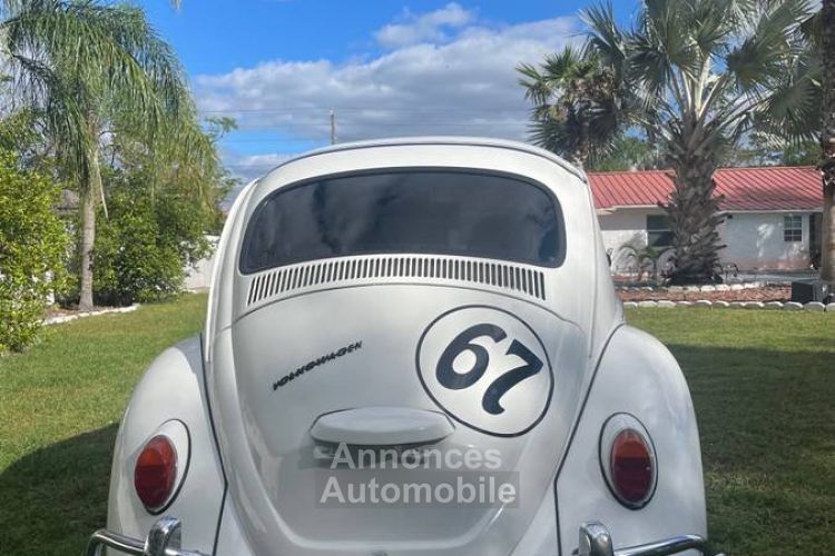 Volkswagen Beetle - <small></small> 20.000 € <small>TTC</small> - #8