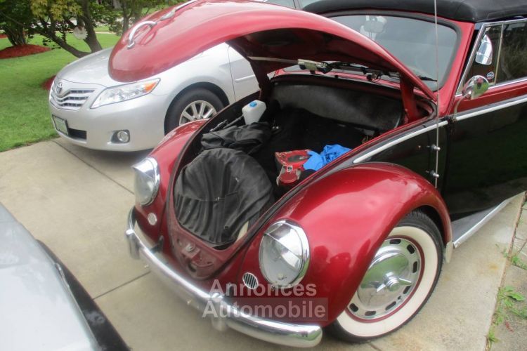 Volkswagen Beetle - <small></small> 22.000 € <small>TTC</small> - #3