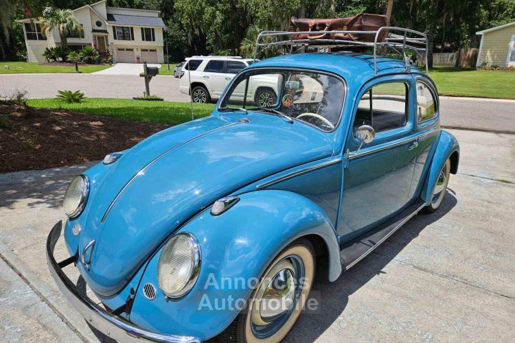 Volkswagen Beetle - <small></small> 31.000 € <small>TTC</small> - #4