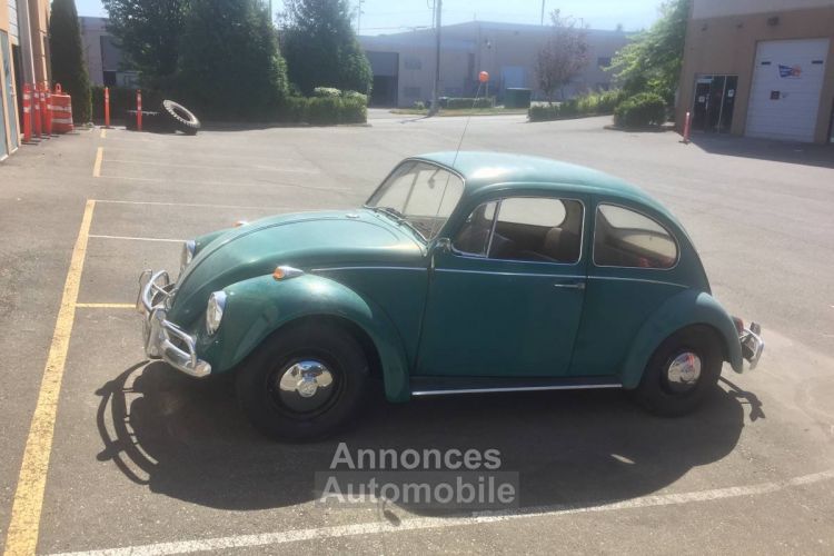 Volkswagen Beetle - <small></small> 20.000 € <small>TTC</small> - #1