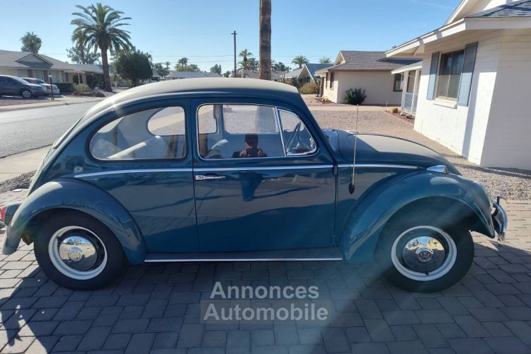 Volkswagen Beetle - <small></small> 16.600 € <small>TTC</small> - #2