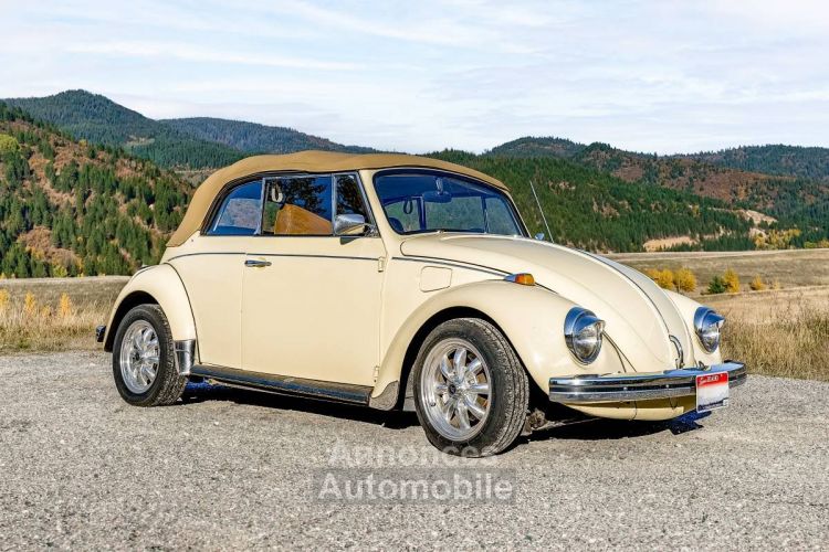 Volkswagen Beetle convertible  - <small></small> 24.000 € <small>TTC</small> - #1