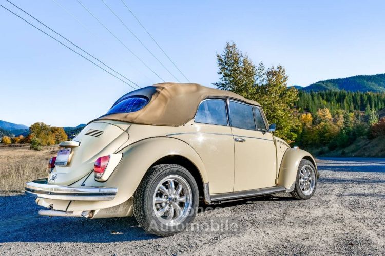 Volkswagen Beetle convertible  - <small></small> 24.000 € <small>TTC</small> - #2