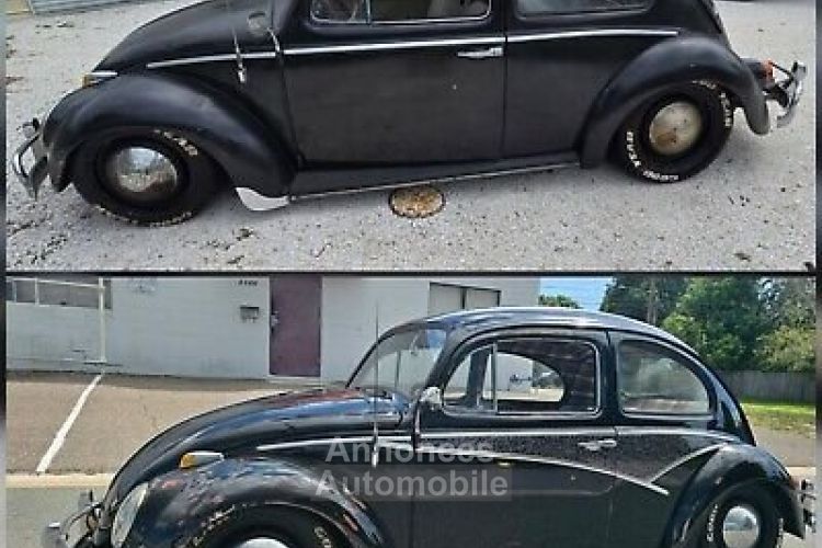 Volkswagen Beetle (Pre-1980)  - <small></small> 19.000 € <small>TTC</small> - #12