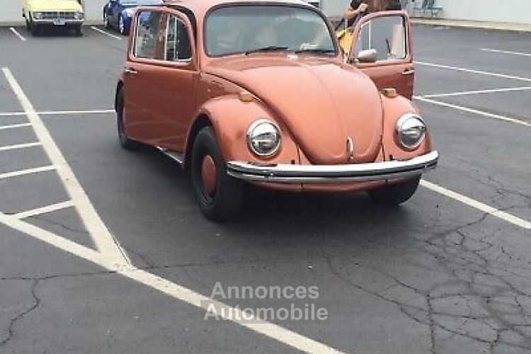 Volkswagen Beetle (Pre-1980)  - <small></small> 17.000 € <small>TTC</small> - #6